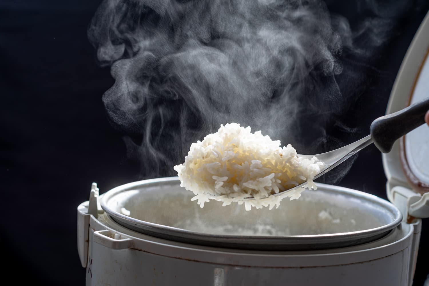 Peut-on faire cuire des pâtes dans un cuiseur riz (autocuiseur premier  prix)? 
